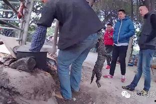屠宰最新爆料消息新闻,屠宰行业惊人内幕曝光,行业整顿势在必行